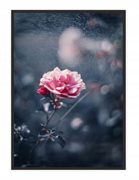 shumee PLAKAT ZA SLIKE V OKVIRJU 43x33 cm Cvet P1237