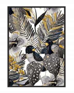 shumee PLAKAT ZA SLIKE V OKVIRJU 33x43 cm Ptice P1110