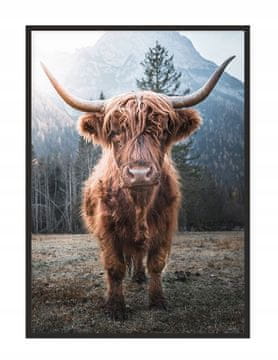 shumee UOKVIRJEN PLAKAT 33x43 cm Highlander P1400