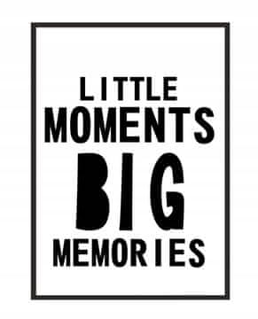 shumee SLIKOVNI PLAKAT V OKVIRJU 33x43 cm Velik P160