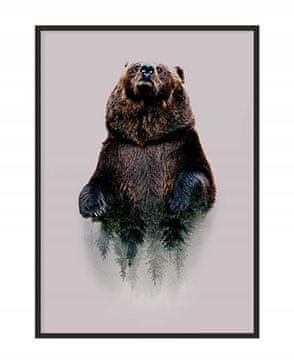 shumee PLAKAT ZA SLIKE V OKVIRJU 53x73 cm Medved P1245