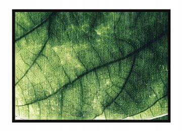 shumee PLAKAT ZA SLIKE V OKVIRJU 53x73 cm List P1491