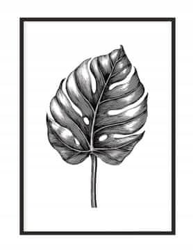 shumee PLAKAT ZA SLIKE V OKVIRJU 43x33 cm List P1139
