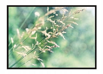 shumee PLAKAT ZA SLIKE V OKVIRJU 53x73 cm Travnik P1639