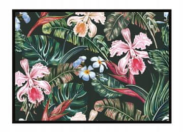 shumee PLAKAT ZA SLIKE V OKVIRJU 53x73 cm Rože P1646