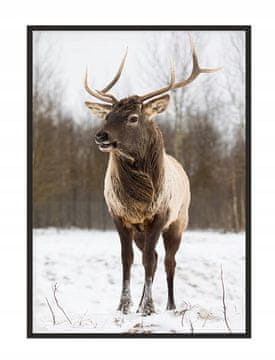 shumee PLAKAT ZA SLIKE V OKVIRJU 33x43 cm Jelen P1428
