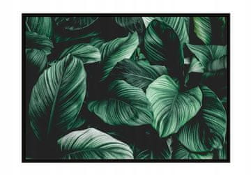 shumee PLAKAT V OKVIRJU 73x53 cm Listi P1121