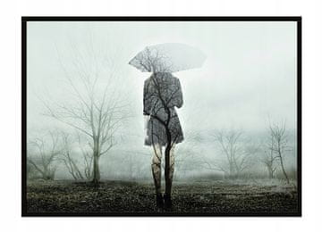 shumee PLAKAT ZA SLIKE V OKVIRJU 53x73 cm Dež P1631