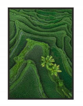 shumee PLAKAT V OKVIRJU 43x33 cm Bali P1146