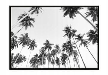 shumee PLAKAT ZA SLIKE V OKVIRJU 53x73 cm Palme P909