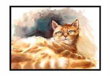 shumee PLAKAT V OKVIRJU 43x33 cm Mačka P1204