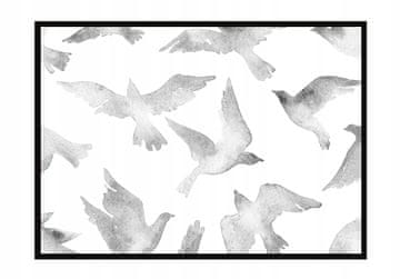 shumee PLAKAT ZA SLIKE V OKVIRJU 53x73 cm Ptice P929