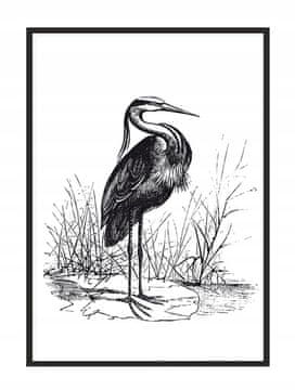 shumee SLIKOVNI PLAKAT V OKVIRJU 33x43 cm Heron P1746