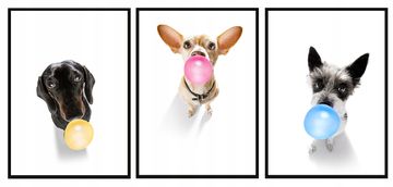 shumee SLIKOVNI PLAKATI V OKVIRJU 33x43cm Triptih Komplet 3 slik Psi Pes P1391