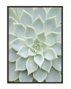 shumee PLAKAT ZA SLIKE V OKVIRJU 33x43 cm Listi P1100