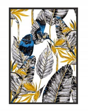 shumee PLAKAT ZA SLIKE V OKVIRJU 33x43 cm Kolibri P1112