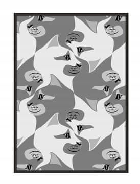 shumee PLAKAT ZA SLIKE V OKVIRJU 33x43 cm Mačke P1660