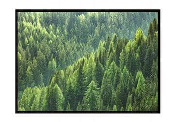 shumee PLAKAT V OKVIRJU 53x73 cm Gozd P1209
