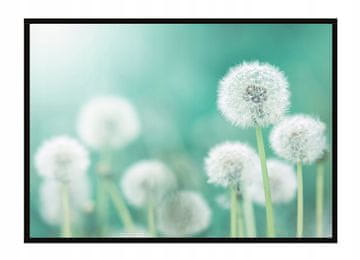 shumee PLAKAT V OKVIRJU 53x73 cm Regrat P1636