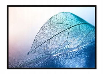 shumee PLAKAT ZA SLIKE V OKVIRJU 53x73 cm List P1645