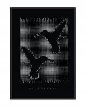 shumee PLAKAT ZA SLIKE V OKVIRJU 53x73 cm Ptice P1244