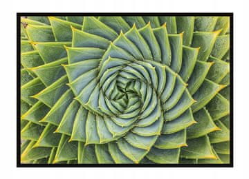 shumee PLAKAT V OKVIRJU 53x73 cm Listi P1494