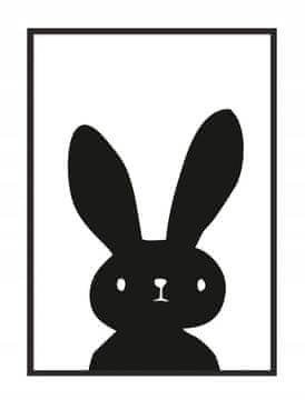 shumee PLAKAT ZA SLIKE V OKVIRJU 33x43 cm Zajec P040
