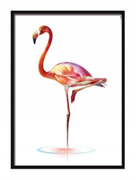 shumee PLAKAT V OKVIRJU 53x73 cm Flamingo P557