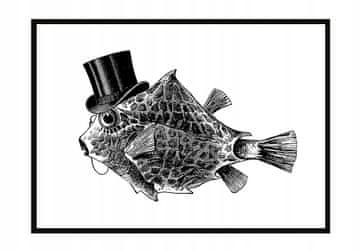 shumee PLAKAT ZA SLIKE V OKVIRJU 53x73 cm Mr. Fish P792