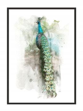 shumee PLAKAT ZA SLIKE V OKVIRJU 53x73 cm Pav P768