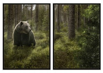 shumee SLIKOVNI PLAKATI V OKVIRJU 33x43cm Diptih Komplet 2 slik Medvedji gozd P753