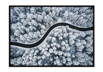 shumee PLAKAT V OKVIRJU 53x73 cm Cesta P795