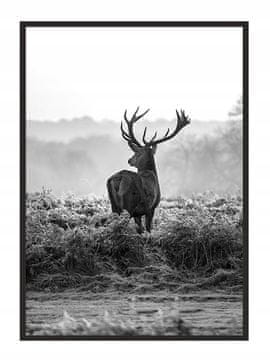 shumee PLAKAT ZA SLIKE V OKVIRJU 33x43 cm Jelen P653