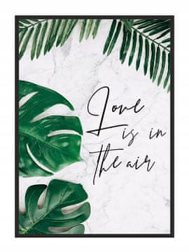 shumee PLAKAT ZA SLIKE V OKVIRJU 53x73 cm Ljubezen Valentinovo 2 P601