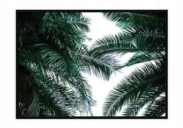 shumee PLAKAT ZA SLIKE V OKVIRJU 53x73 cm Palme P954