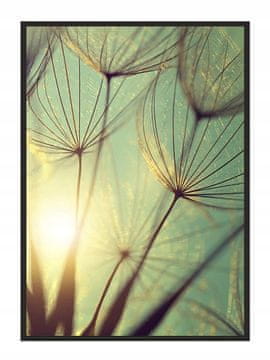 shumee PLAKAT ZA SLIKE V OKVIRJU 53x73 cm Regrat Potonika P684