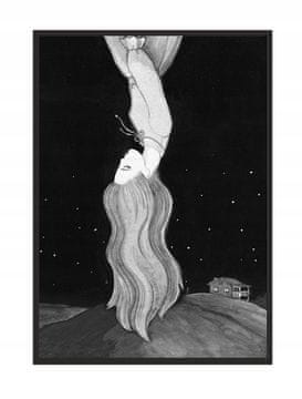 shumee PLAKAT ZA SLIKE V OKVIRJU 43x33 cm Dream P716