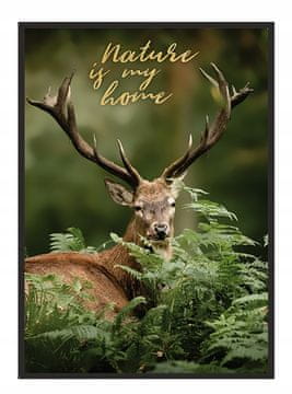 shumee PLAKAT V OKVIRJU 53x73 cm Jelen 1 P598