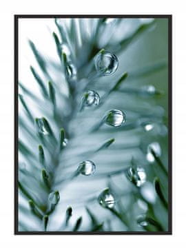 shumee PLAKAT ZA SLIKE V OKVIRJU 53x73 cm Rosa Pion P683