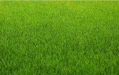shumee INCO FLOROVIT TRAVA 0,9 KG SUHA TER