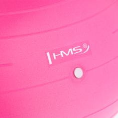 shumee YD04 NOVA ROZA GIMNASTIČNA ŽOGA ZA KROFE HMS