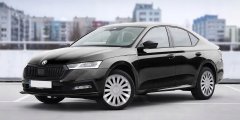 shumee 15"-PALCEV UNIVERZALNI POKROVI ZA KOLESA ZA JEKLENA PLATIŠČA, SREBRNO-SIVI, KOMPLET 4 KOSOV