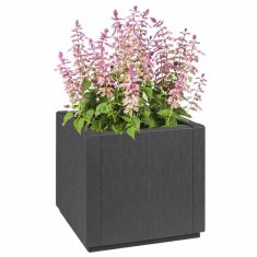 Vidaxl Vrtni Lonček v temno sivi barvi, 36 x 36 x 35 cm, iz PP