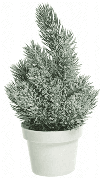 shumee Božično drevo v belem loncu, 20 cm