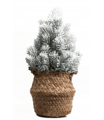 shumee Zasneženo božično drevo 28 cm