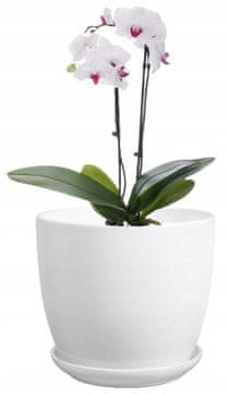 shumee Keramični cvetlični lonček s krožnikom 16 cm bel