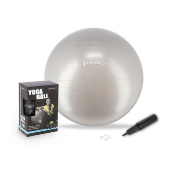 shumee YB01 NOVÁ 65CM ŠEDÁ GYMNASTICKÁ LOPTA HMS
