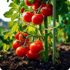 shumee Vrtni tunel 2 x 4,5 m (9 m2) bel Plonos