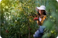 shumee Ojačan vrtni tunel 2x3m 6m2 Plonos