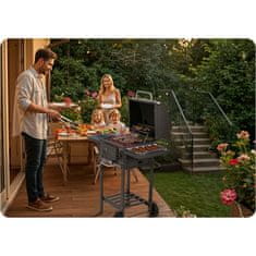 shumee Črni žar na oglje Berdsen BD-892 s pokrovom